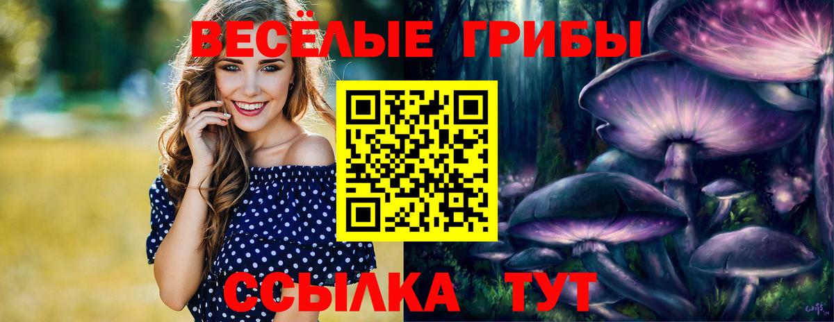Псилоцибиновые грибы мицелий  Вход с VPN  Комсомольск-на-Амуре 