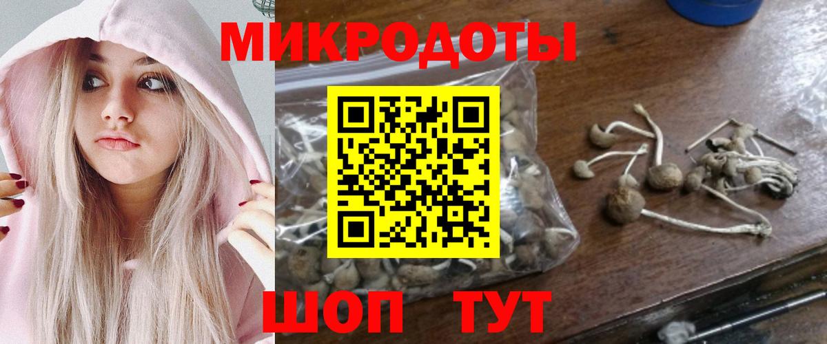 Псилоцибиновые грибы MAGIC MUSHROOMS Комсомольск-на-Амуре